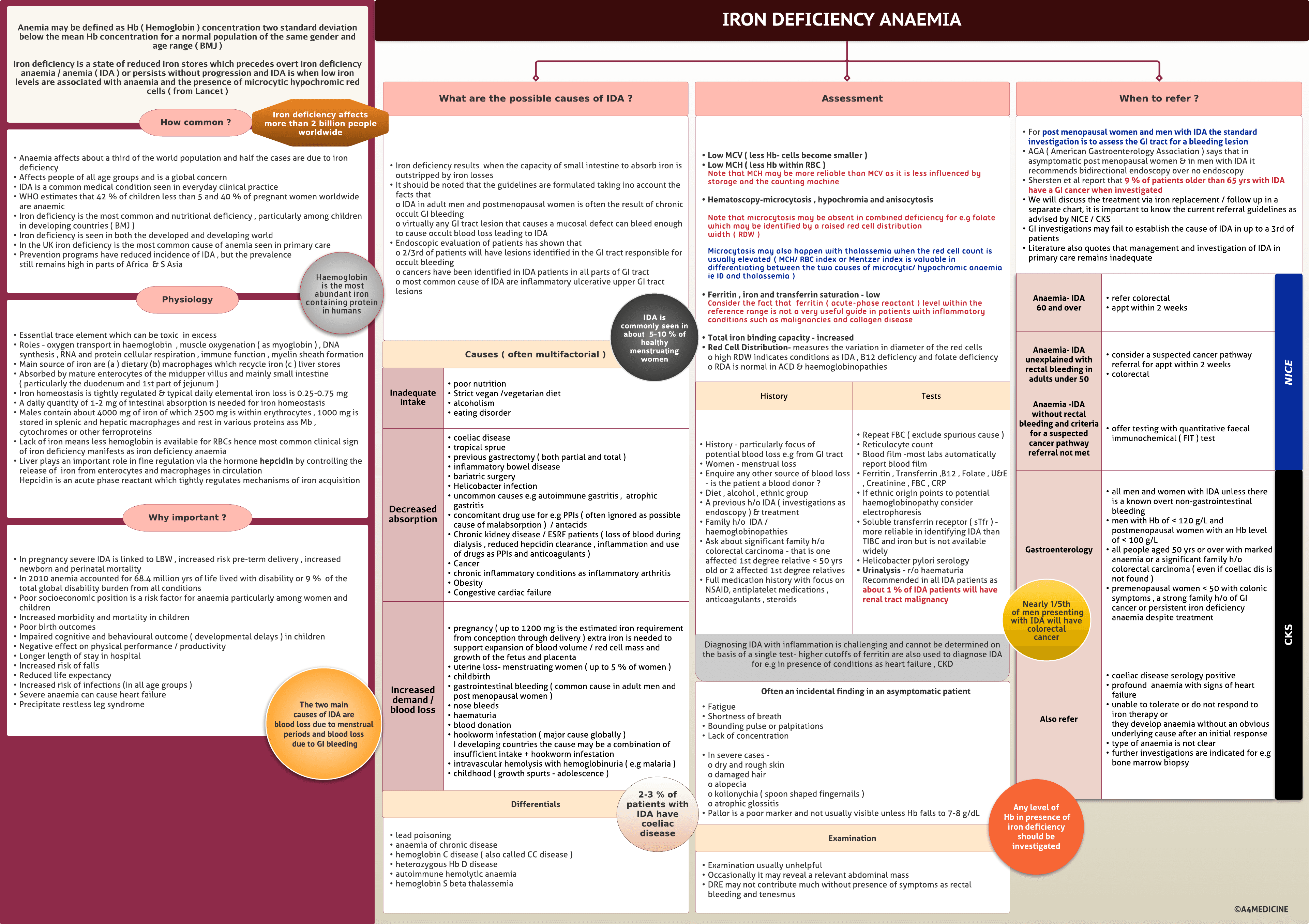 Iron deficiency anaemia ( IDA )