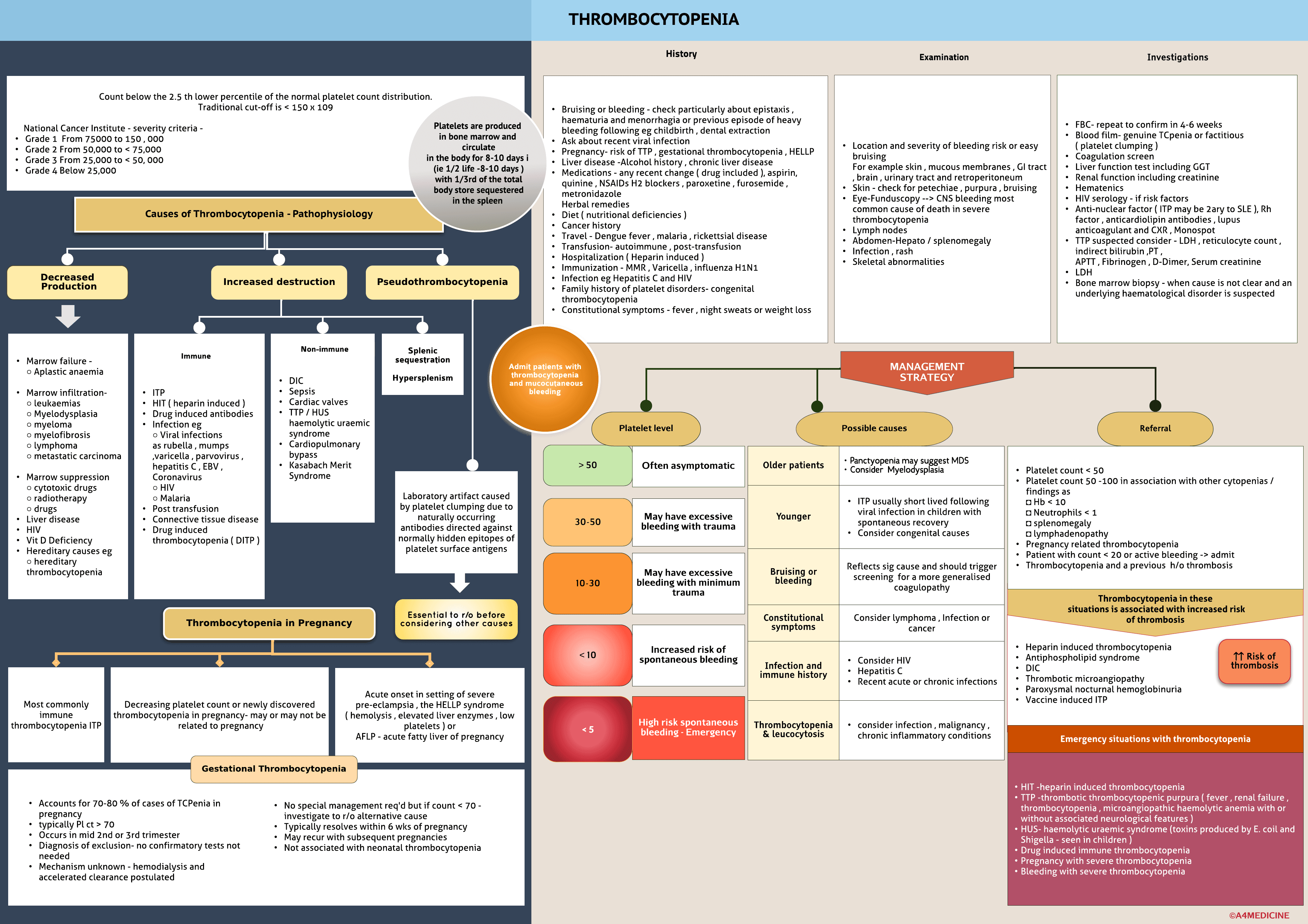 Thrombocytopenia ( Low platelet count )