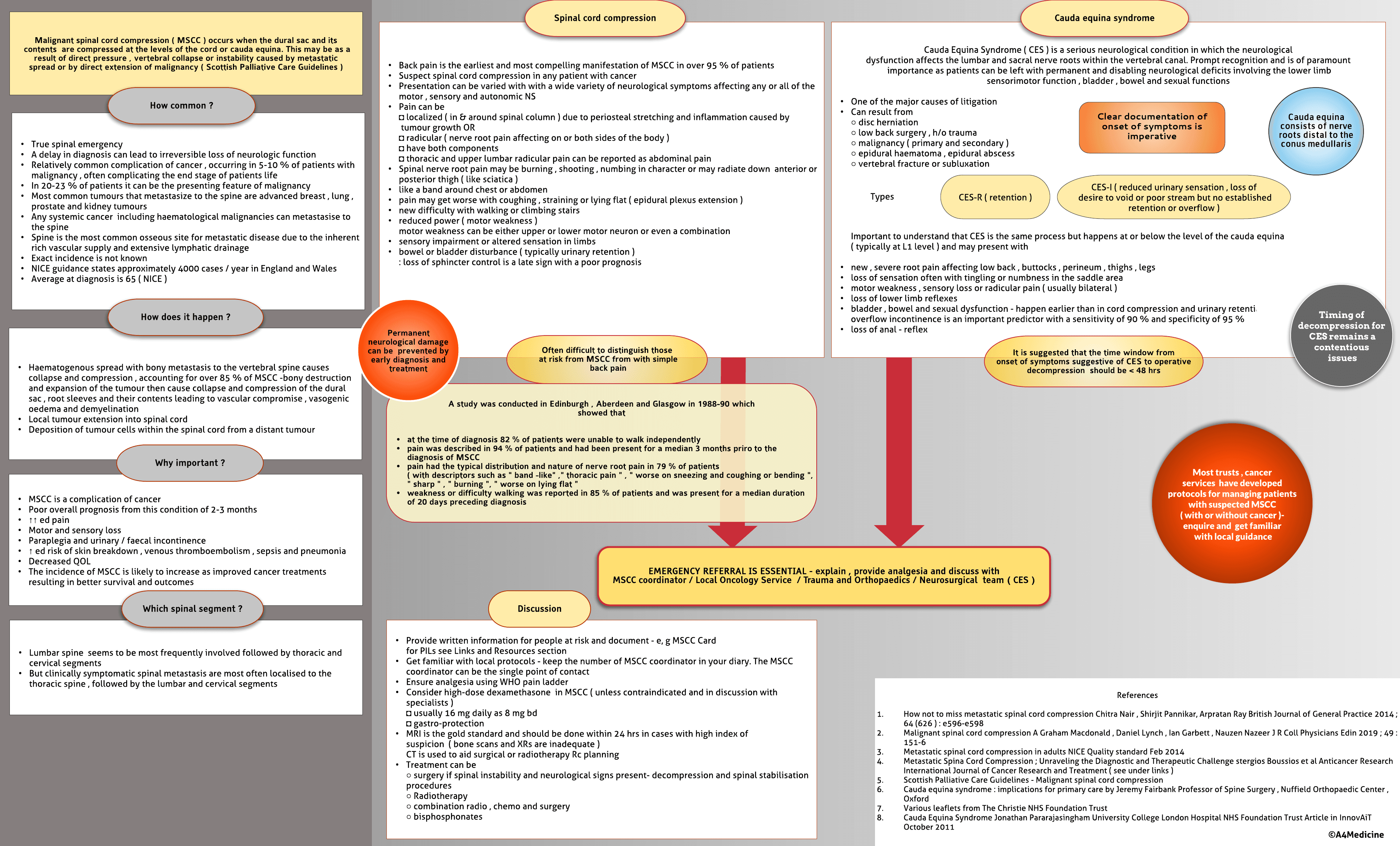 Metastatic Spinal Cord Compression ( MSCC )