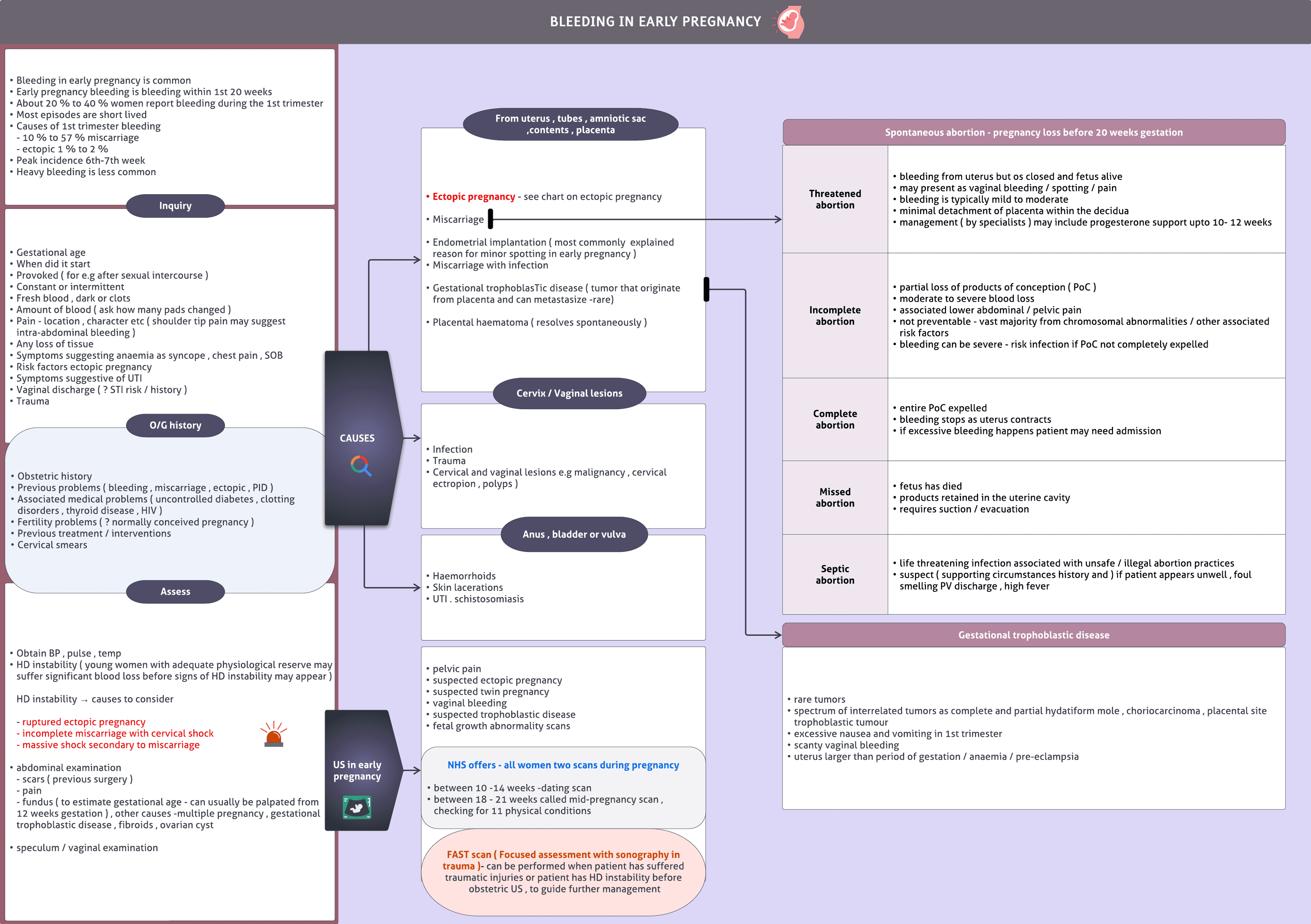 Bleeding in early pregnancy