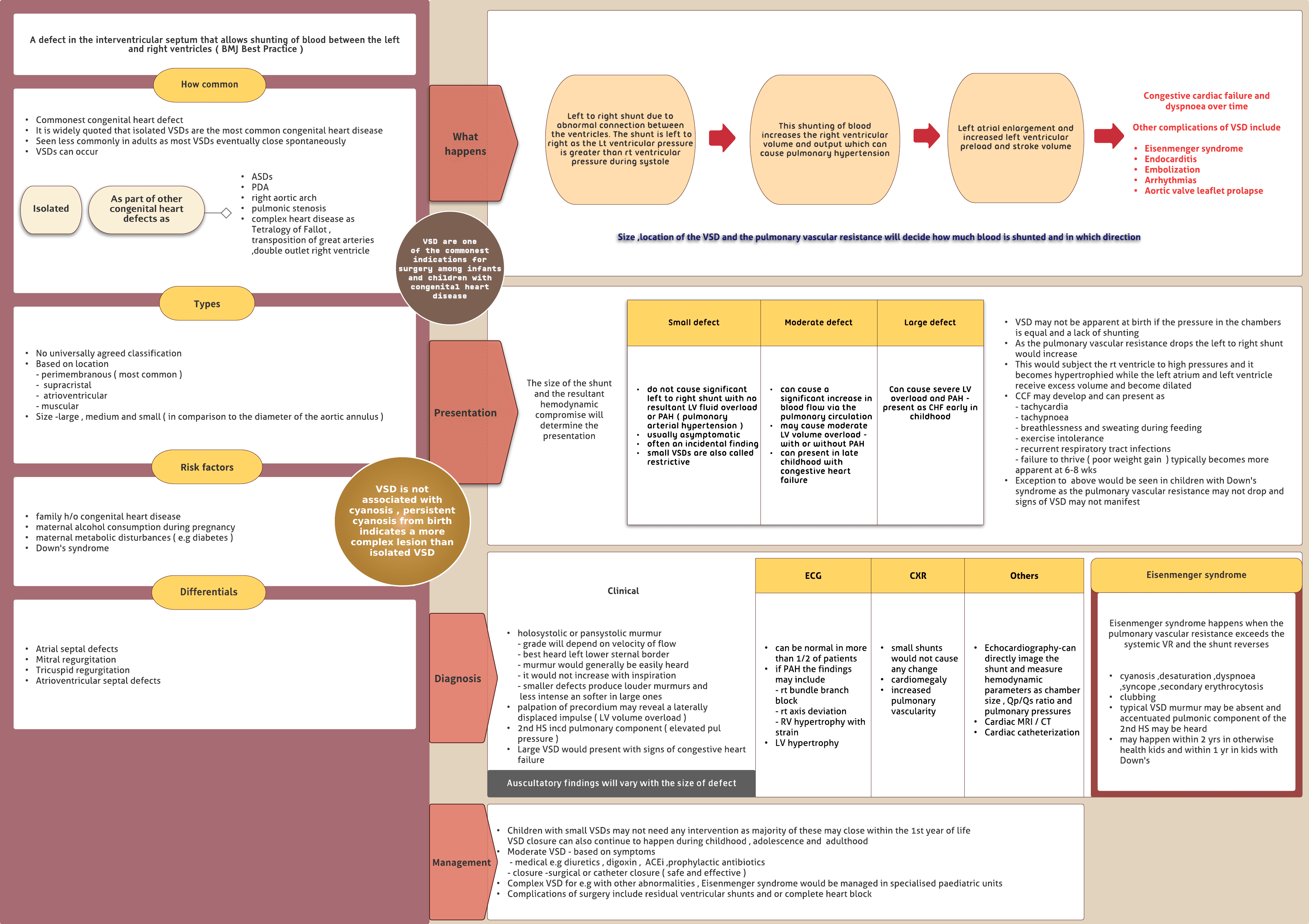 Ventricular Septal Defect ( VSD )