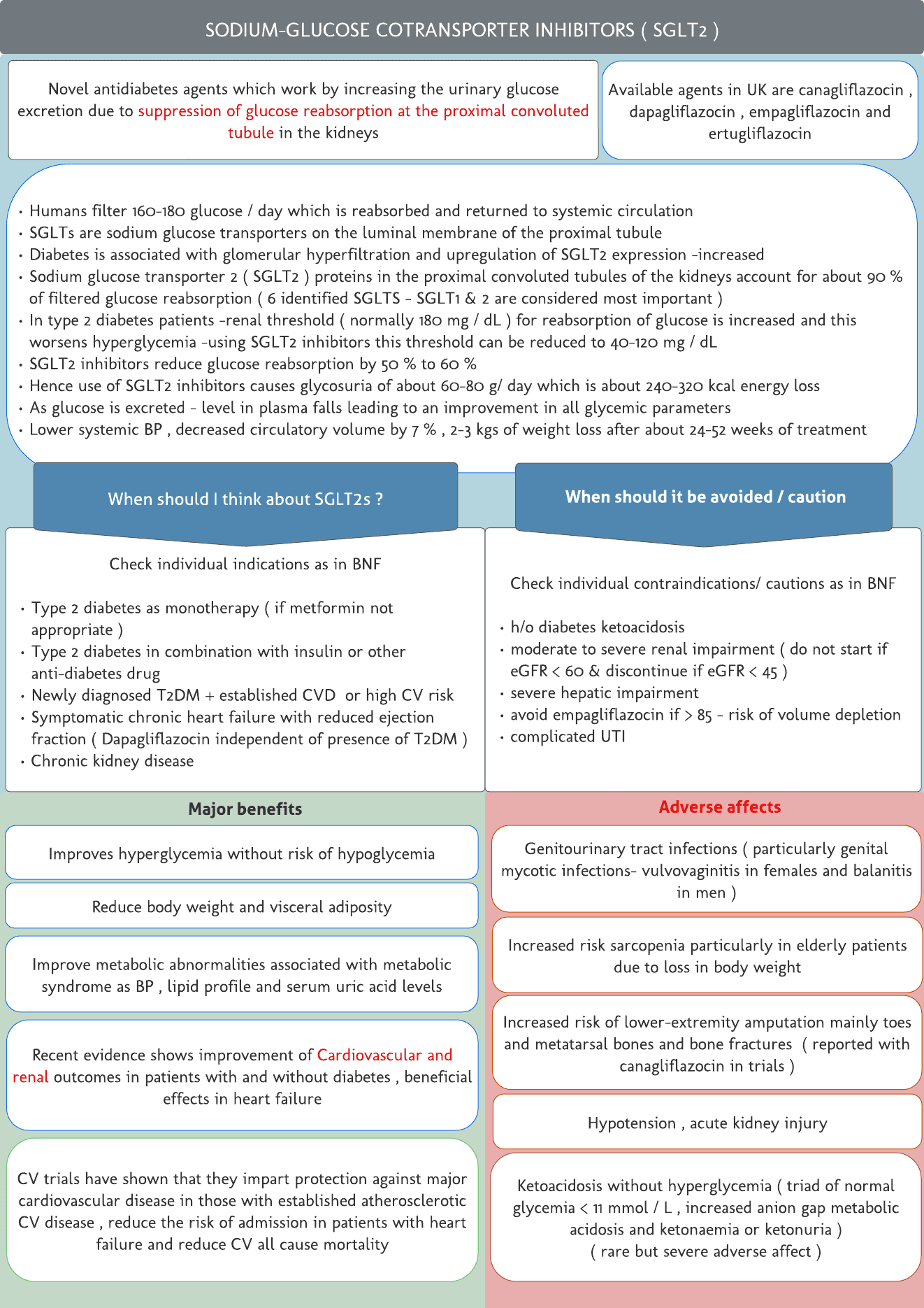 Sodium-Glucose Cotransporter Inhibitors ( SGLT2 )