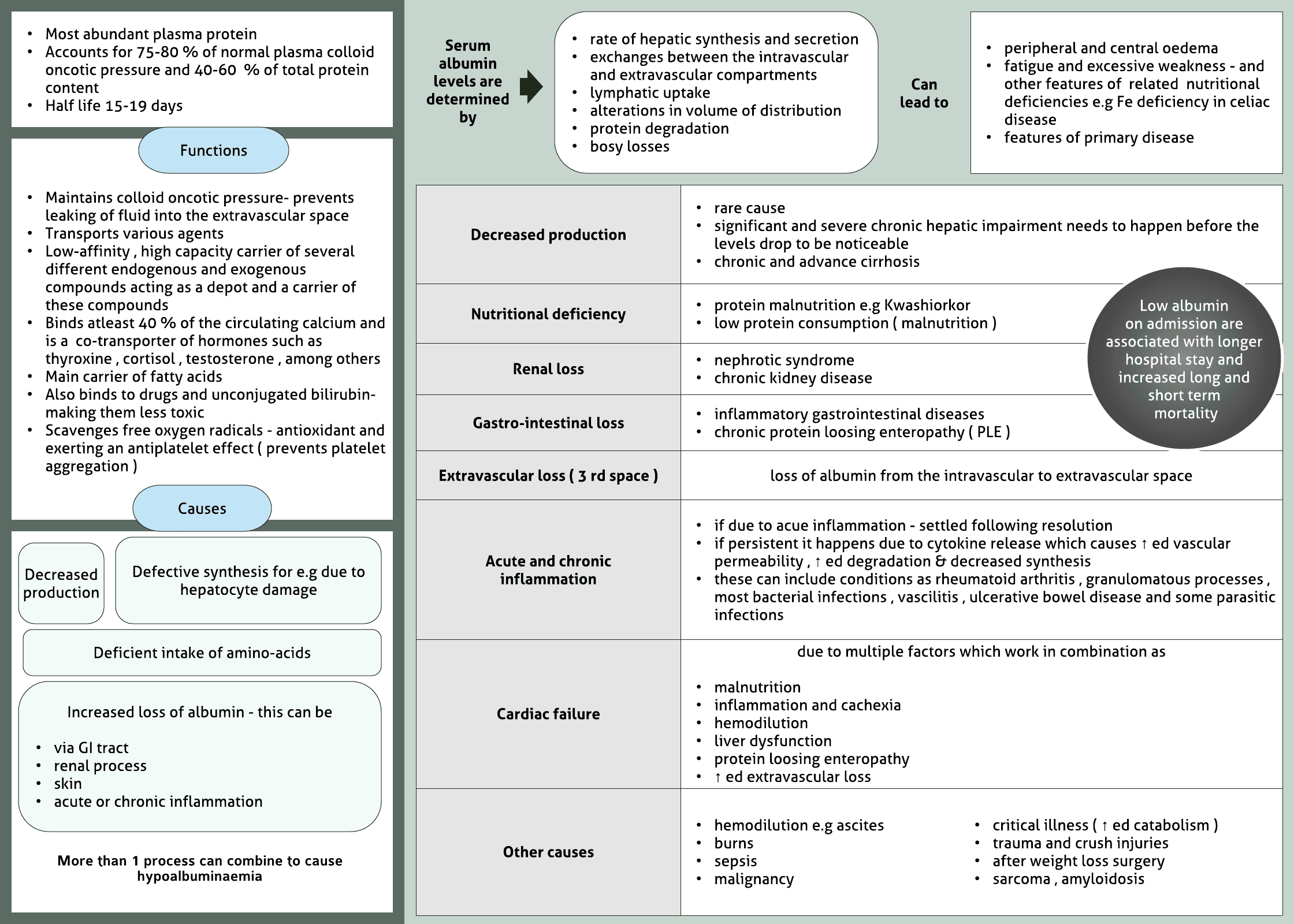Hypoalbuminemia- Low albumin