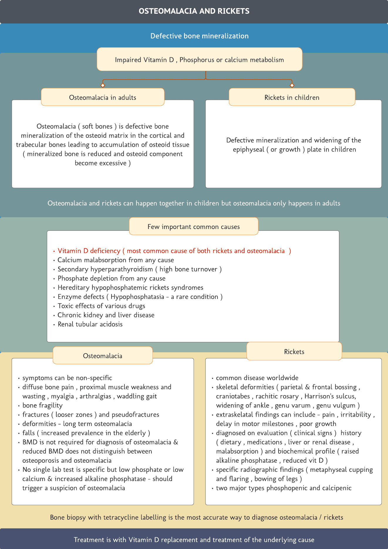 Osteomalacia and Rickets – Quick revision card