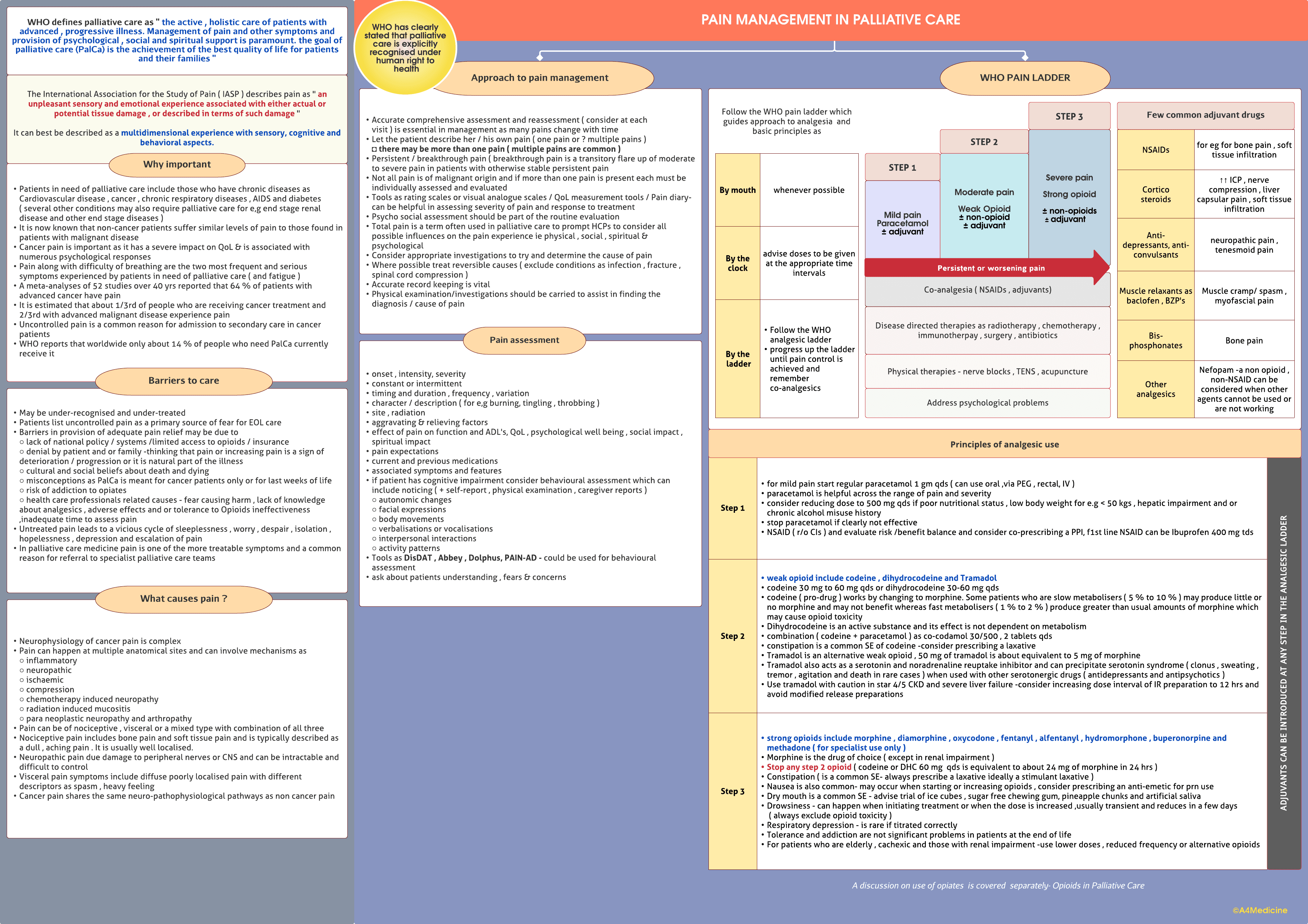 Pain management in palliative care