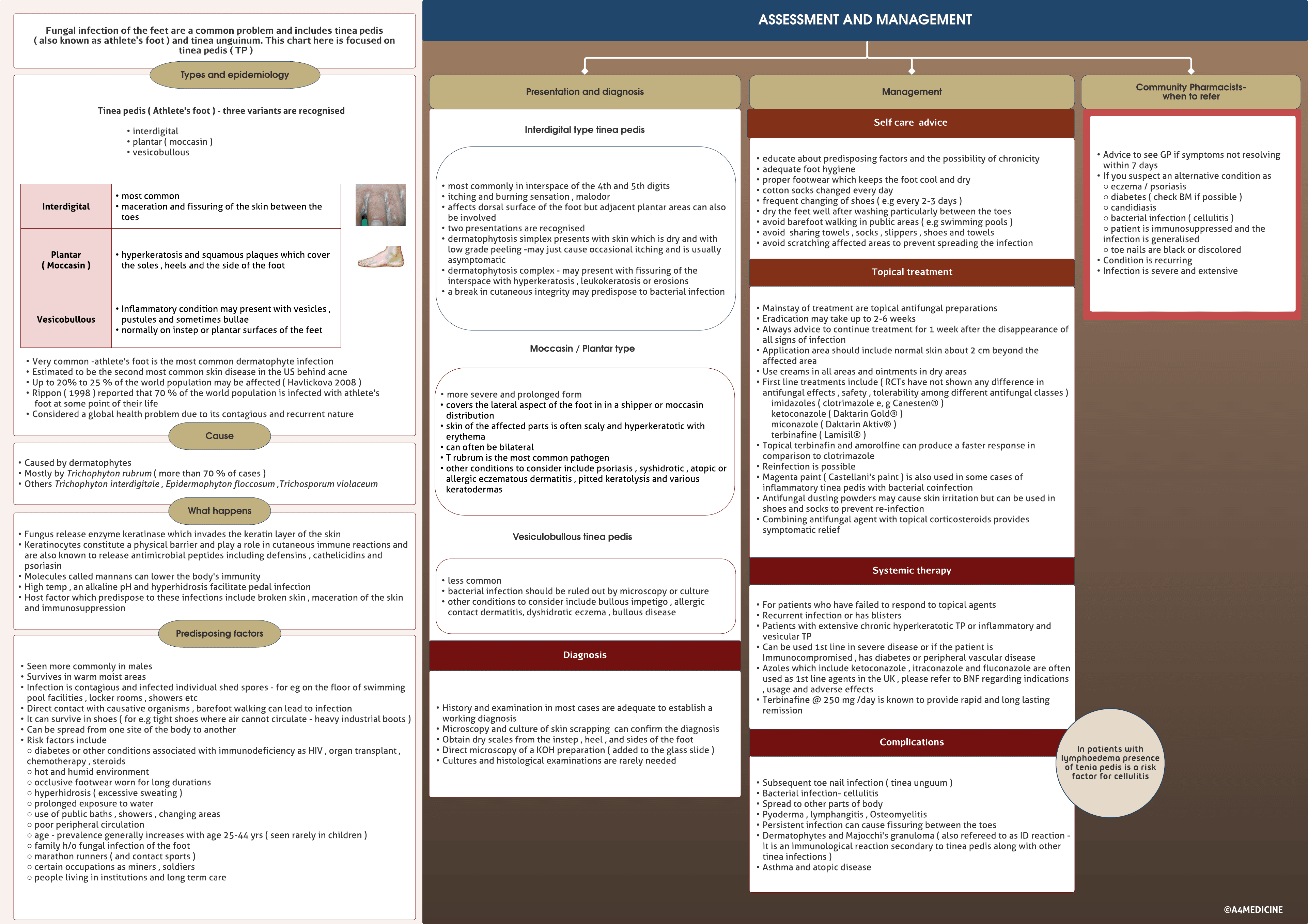 Tinea pedis ( Athlete’s foot )