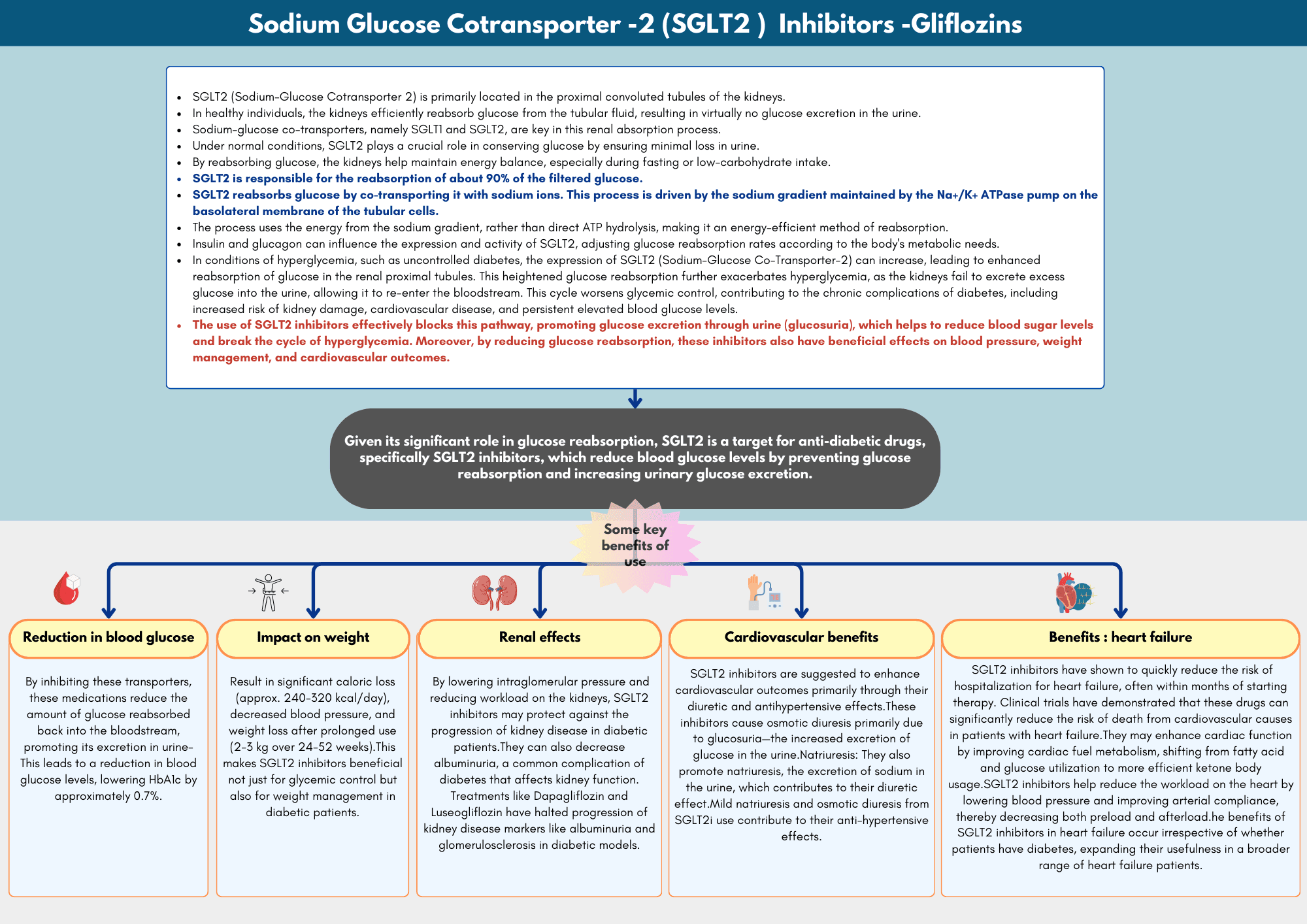 Sodium Glucose Cotransporter -2 (SGLT2 ) Inhibitors -Gliflozins