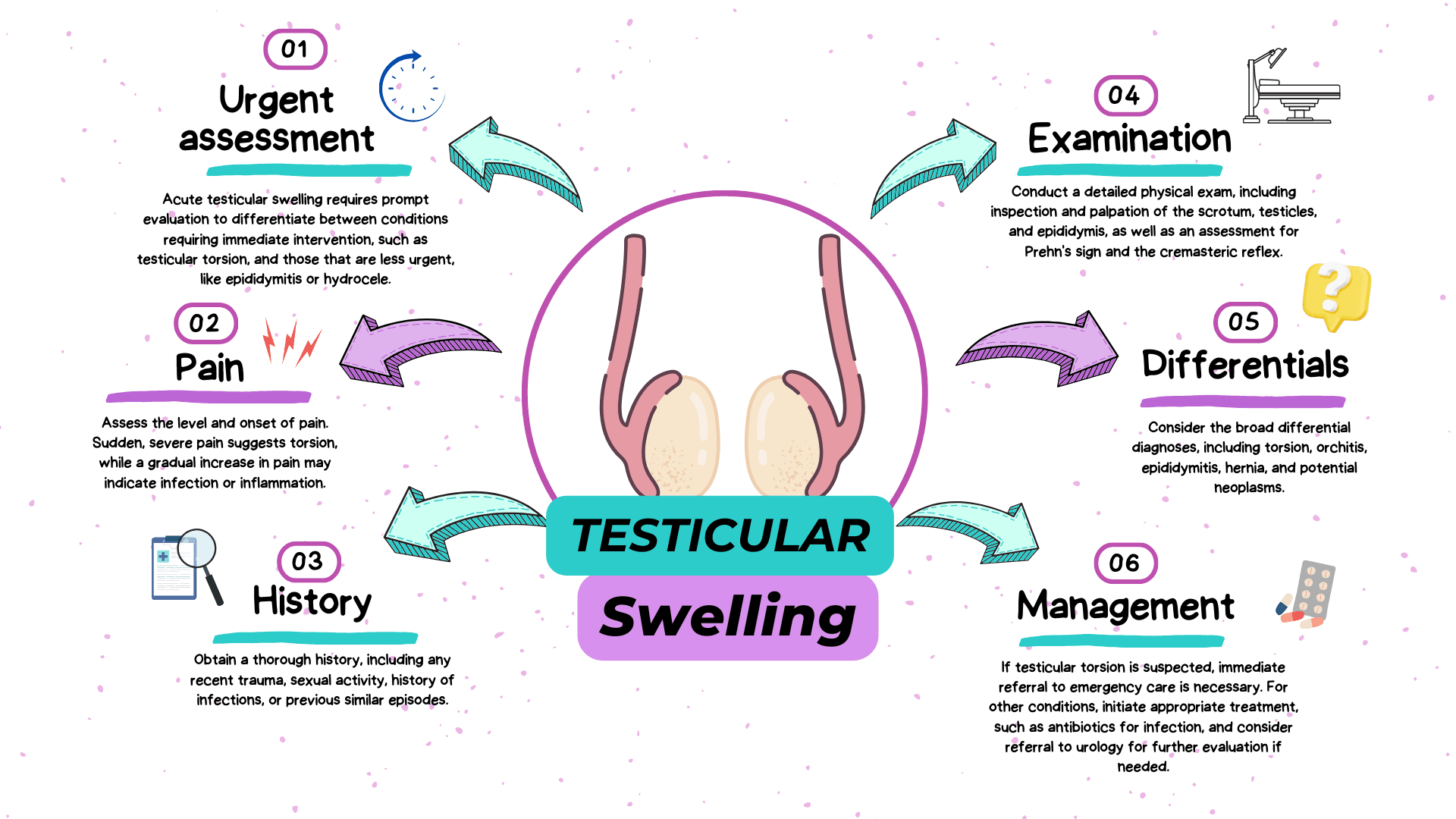 Testicular swelling : assessment and differentials