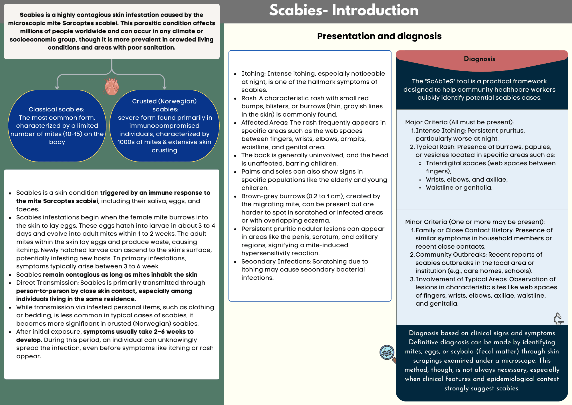 Scabies: recognition and Diagnosis for nurses paramedics and pharmacists